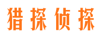 凌云侦探公司